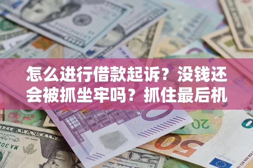 北京怎么进行借款起诉？没钱还会被抓坐牢吗？抓住最后机会！