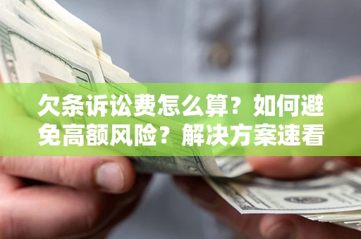 北京欠条诉讼费怎么算？如何避免高额风险？解决方案速看！