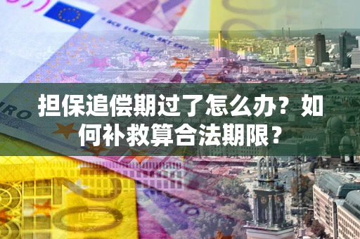 北京担保追偿期过了怎么办？如何补救算合法期限？