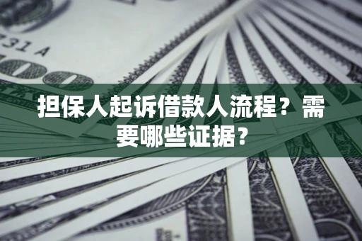 北京担保人起诉借款人流程？需要哪些证据？