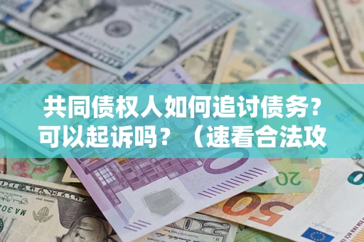 北京共同债权人如何追讨债务？可以起诉吗？（速看合法攻略）