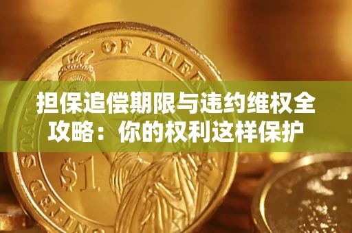 北京担保追偿期限与违约维权全攻略：你的权利这样保护