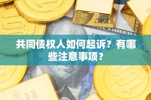 北京共同债权人如何起诉？有哪些注意事项？